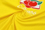 25/26 Brazil  Yellow Player Version 1:1 Quality Training Jersey