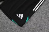 25/26 Liverpool Green 1:1 Quality Training Jersey（A-Set）
