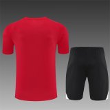 25/26 Liverpool Red 1:1 Quality Training Jersey（A-Set）