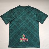 25/26 Palestino Green  Fans 1:1 Quality Soccer Jersey（巴勒斯坦人）