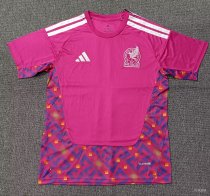26/27 (2026)  Mexico Goalkeeper Fans 1:1 Quality Soccer Jersey