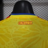 26/27（2026）Colombia Home  Yellow Long Sleeves Player 1:1 Quality Soccer Jersey
