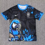 25/26 Brazil  Special Edition  Fans 1:1 Quality Soccer Jersey
