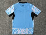 25/26 Sweden Training Clothes Fans 1:1 Quality Soccer Jersey