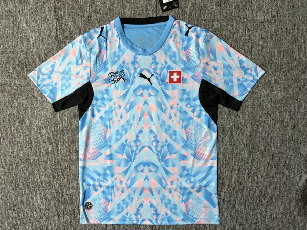 25/26 Sweden Training Clothes Fans 1:1 Quality Soccer Jersey