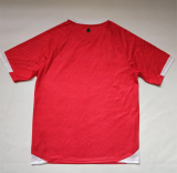 25/26  Lebanon Red Fans 1:1 Quality Soccer Jersey