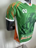 25/26 Ivory Coast Special Edition Green Player 1:1 Quality Soccer Jersey
