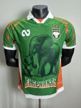 25/26 Ivory Coast Special Edition Green Player 1:1 Quality Soccer Jersey