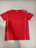 26/27 (2026) Tunisia Home Fans 1:1 Quality Soccer Jersey