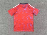 26/27   (2026) Costa Rica Home  Fans 1:1 Quality Soccer Jersey