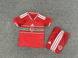26/27（2026） Wales Home Kids Kits 1:1 Quality  Soccer Jersey
