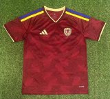 25/26 Venezuela  Home Fans 1:1 Quality Soccer Jersey