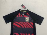 25/26  Flamengo Special Edition Fans  1:1 Quality Soccer Jersey