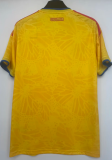 26/27（2026）Colombia Home Fans 1:1 Quality Soccer Jersey