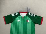 26/27 (2026)  Algeria  Away  Fans 1:1 Quality Soccer Jersey