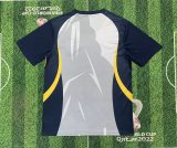25/26 Brazil Special Edition   Fans 1:1 Quality Soccer Jersey