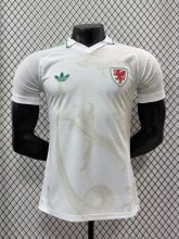 26/27 (2026)  Wales  Away Player 1:1 Quality Soccer Jersey