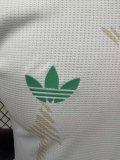 26/27 (2026)  Wales  Away Player 1:1 Quality Soccer Jersey