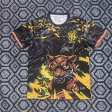 26/27（2026） Brazil Special Edition  Fans 1:1 Quality Soccer Jersey
