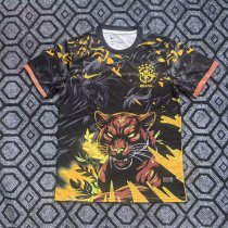 26/27（2026） Brazil Special Edition  Fans 1:1 Quality Soccer Jersey