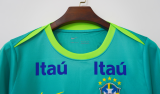 26/27（2026） Brazil Pre match Special Edition Green  Fans 1:1 Quality Soccer Jersey