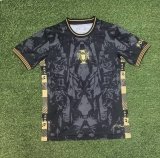 26/27（2026）Portugal Special Edition Fans 1:1 Quality Soccer Jersey