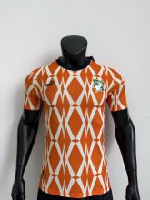 26/27 (2026)  Ivory Coast  Player 1:1 Quality Soccer Jersey