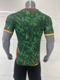 26/27 (2026) Cameroon Home Green Fans 1:1 Quality Soccer Jersey