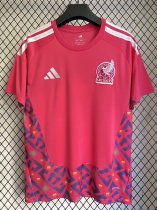 26/27 (2026) Mexico Goalkeeper Pink  Fans 1:1 Quality Soccer Jersey