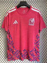 26/27 (2026) Mexico Goalkeeper Pink  Fans 1:1 Quality Soccer Jersey