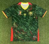 26/27 (2026) Cameroon Home Green Fans 1:1 Quality Soccer Jersey