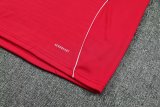 25/26 River Plate Training Red  1:1 Quality Training Jersey