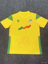 25/26 Benin Home Fans 1:1 Quality Soccer Jersey 25/26 Benin Home Fans 1:1 Quality Soccer Jersey