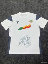 25/26  Benin Away Fans 1:1 Quality Soccer Jersey