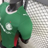 26/27（2026） Palmeiras Home  Player 1:1 Quality Soccer Jersey（球员版）