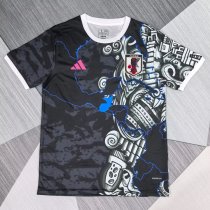 25/26 Japan Special Edition Fans 1:1 Quality Soccer Jersey
