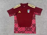26/27（2026）Italy Goalkeeper  Fans 1:1 Quality Soccer Jersey