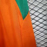 26/27 (2026) Ivory Coast  Player 1:1 Quality Shorts