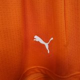 26/27 (2026) Ivory Coast  Player 1:1 Quality Shorts