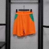26/27 (2026) Ivory Coast  Player 1:1 Quality Shorts
