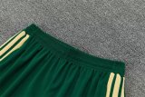 26/27 (2026) Italy Training Green 1:1 Quality Training Jersey（A-Set）
