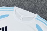 26/27 (2026) Argentina Training White 1:1 Quality Training Jersey（A-Set）