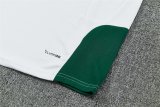 26/27 (2026) Italy Training White 1:1 Quality Training Jersey（A-Set）
