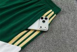 26/27 (2026) Italy Training Green 1:1 Quality Training Jersey（A-Set）