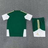 26/27 (2026) Italy Training Green 1:1 Quality Training Jersey（A-Set）
