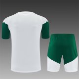 26/27 (2026) Italy Training White 1:1 Quality Training Jersey（A-Set）