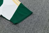 26/27 (2026) Italy Training White 1:1 Quality Training Jersey（A-Set）