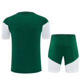 26/27 (2026) Italy Training Green 1:1 Quality Training Jersey（A-Set）