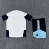 26/27 (2026) Argentina Training White 1:1 Quality Training Jersey（A-Set）