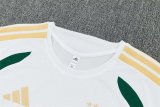 26/27 (2026) Italy Training White 1:1 Quality Training Jersey（A-Set）